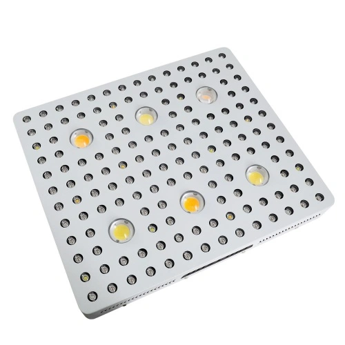 Cob led 600w sale